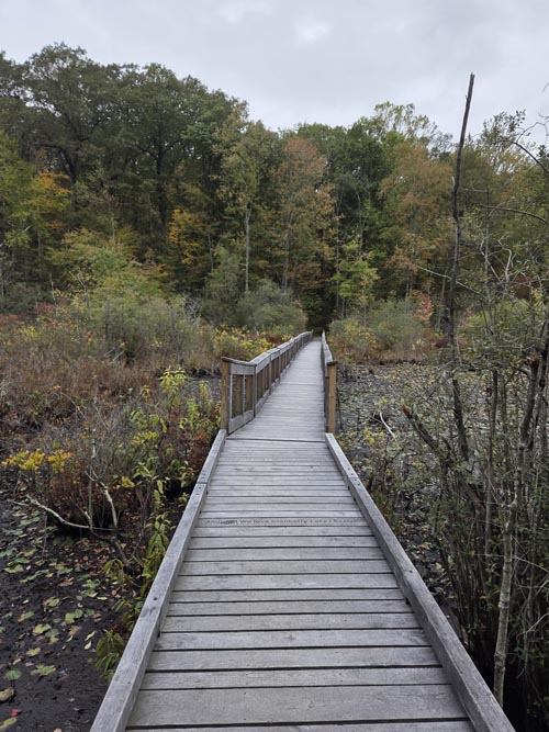 Cranberry Lake Preserve, North White Plains, New York, October 12, 2025