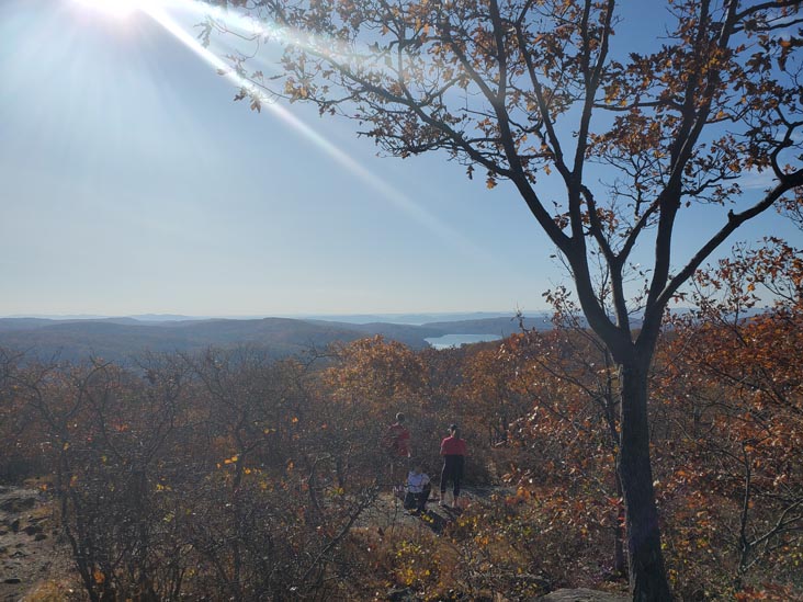 Turkey Mountain Nature Preserve, Yorktown Heights, New York, November 7, 2020
