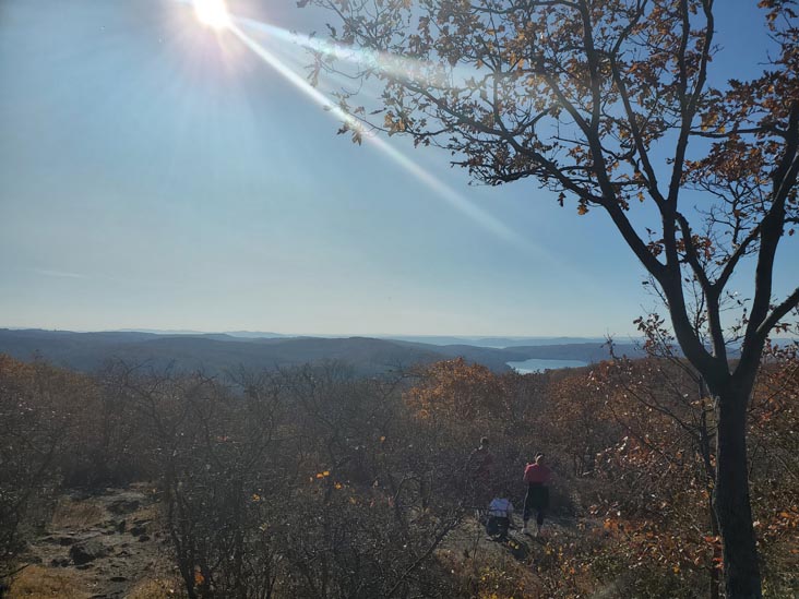 Turkey Mountain Nature Preserve, Yorktown Heights, New York, November 7, 2020