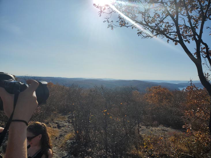 Turkey Mountain Nature Preserve, Yorktown Heights, New York, November 7, 2020