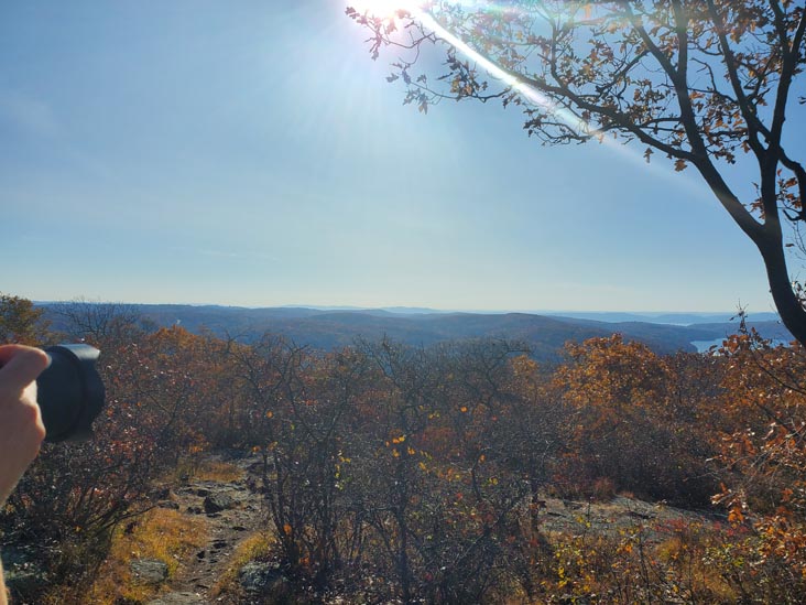 Turkey Mountain Nature Preserve, Yorktown Heights, New York, November 7, 2020
