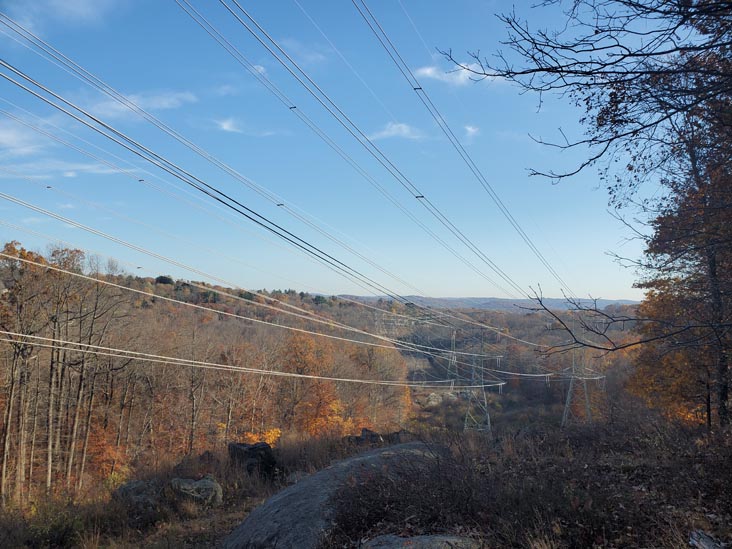 Turkey Mountain Nature Preserve, Yorktown Heights, New York, November 7, 2020