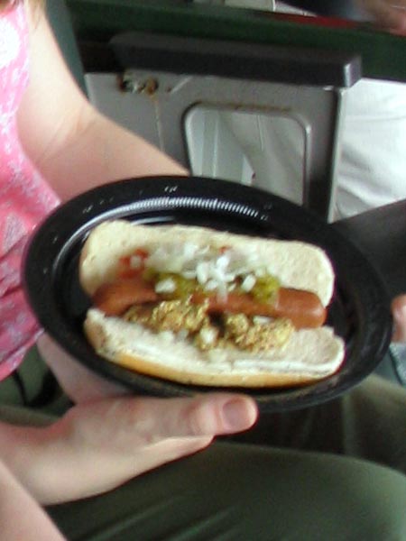 Hot Dog, Wrigley Field, Chicago, Illinois