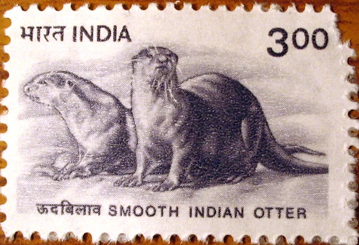 3 Rupee Indian Otter Stamp, India