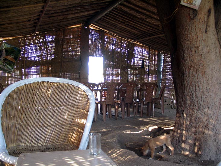 Midway Megh Malhar, Between Bar And Nimaj, Rajasthan, India