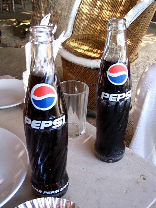 Pepsi, Midway Megh Malhar, Between Bar And Nimaj, Rajasthan, India