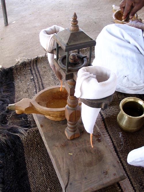 Opium Ceremony, Salawas, Rajasthan, India