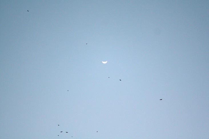 Sunset Terrace, Udaipur, Rajasthan, India