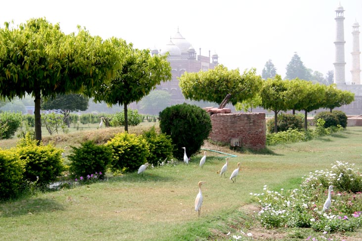 Mehtab Bagh, Agra, Uttar Pradesh, India