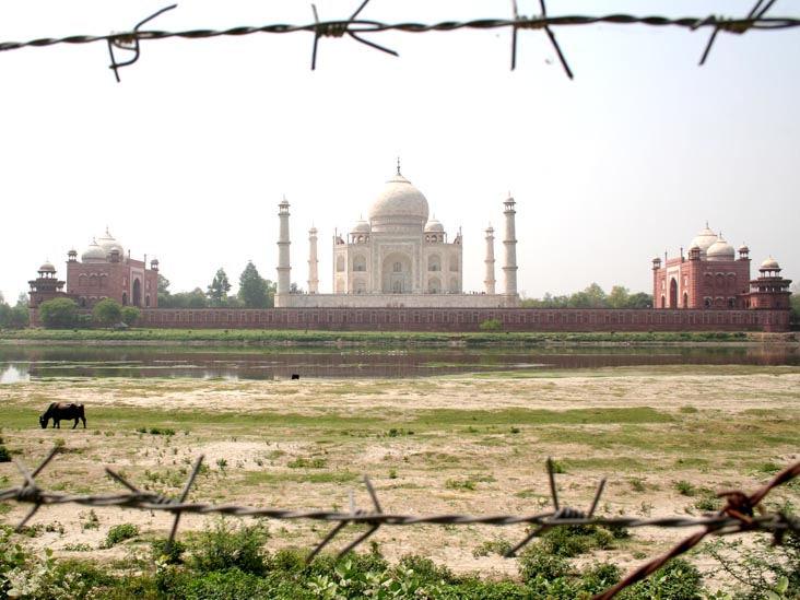 Taj Mahal From Mehtab Bagh, Agra, Uttar Pradesh, India