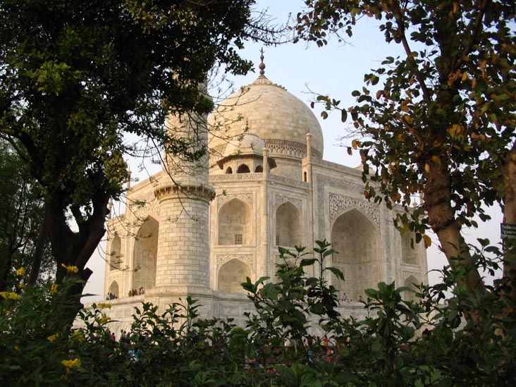 Taj Mahal From The Garden, Agra, Uttar Pradesh, India