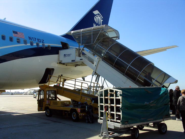 Tarmac, Aeroporto Leonardo da Vinci di Fiumicino, Fiumicinio, Rome, Lazio, Italy