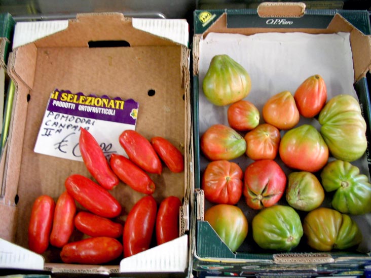 Tomatoes, Testaccio Market, Rome, Lazio, Italy