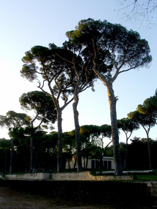 Villa Borghese, Rome, Lazio, Italy