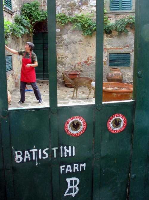 Batistini Farm (Fattoria Batistini), San Martino al Vento, Chianti, Italy