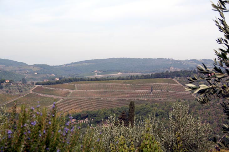 View From Fontodi, Panzano in Chianti, Tuscany, Italy
