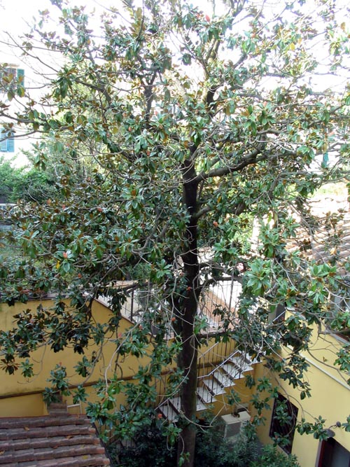 Residenza Il Villino, Via della Pergola, 53, Florence, Tuscany, Italy