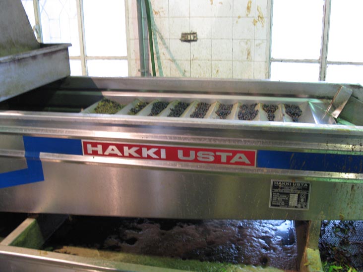 Olive Oil Factory, Naour, Jordan