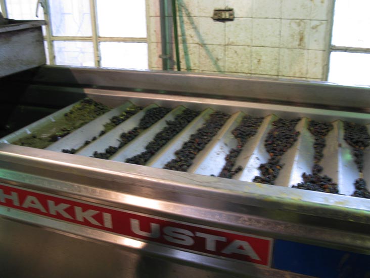 Olive Oil Factory, Naour, Jordan