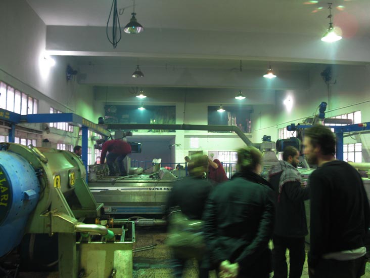 Olive Oil Factory, Naour, Jordan