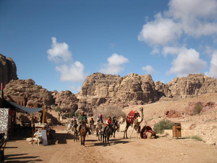 Camels, Colonnade Street, Petra, Wadi Musa, Jordan