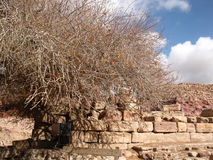 Nymphaeum, Colonnade Street, Petra, Wadi Musa, Jordan
