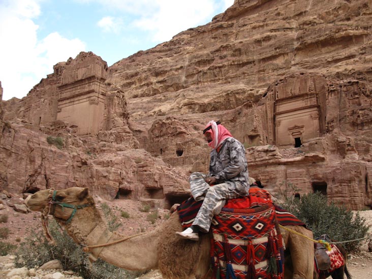 Camel Near Uneishu Tomb, Petra, Wadi Musa, Jordan