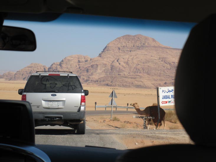 Camel Crossing Road, Wadi Rum, Jordan