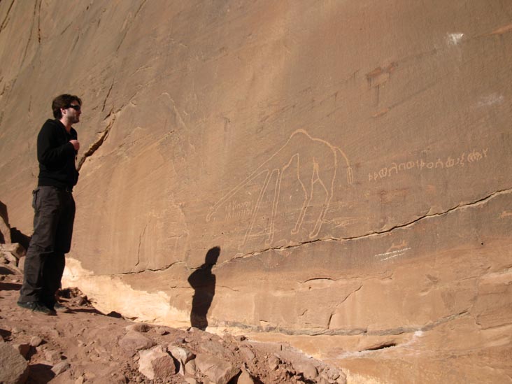 Camel Petroglyph, Wadi Rum, Jordan