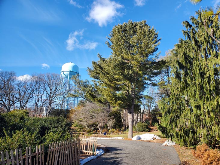 Clark Botanic Garden, Albertson, New York, February 6, 2022