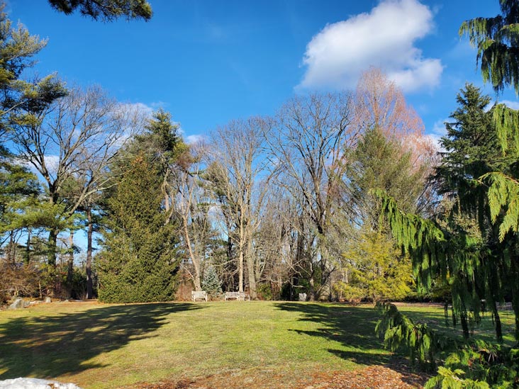 Clark Botanic Garden, Albertson, New York, February 6, 2022