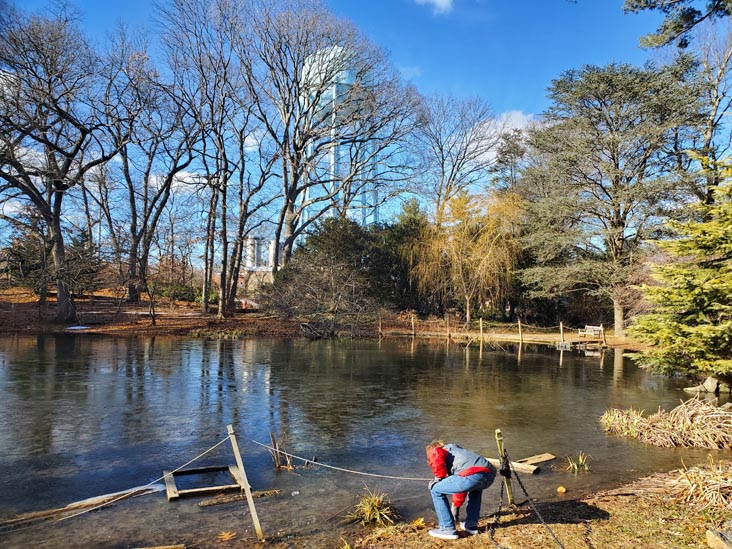 Clark Botanic Garden, Albertson, New York, February 6, 2022