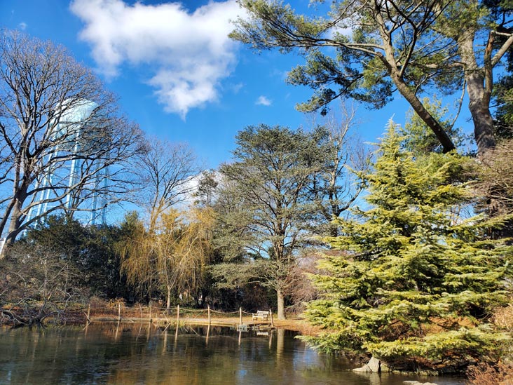 Clark Botanic Garden, Albertson, New York, February 6, 2022