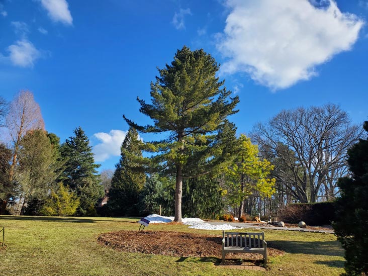 Clark Botanic Garden, Albertson, New York, February 6, 2022