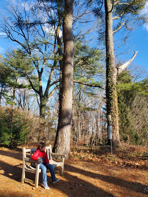 Clark Botanic Garden, Albertson, New York, February 6, 2022