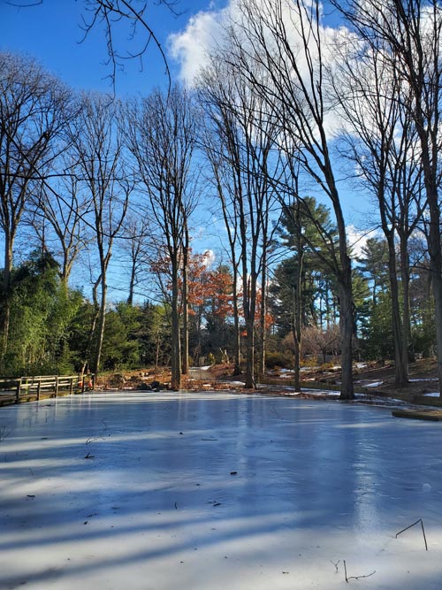 Clark Botanic Garden, Albertson, New York, February 6, 2022