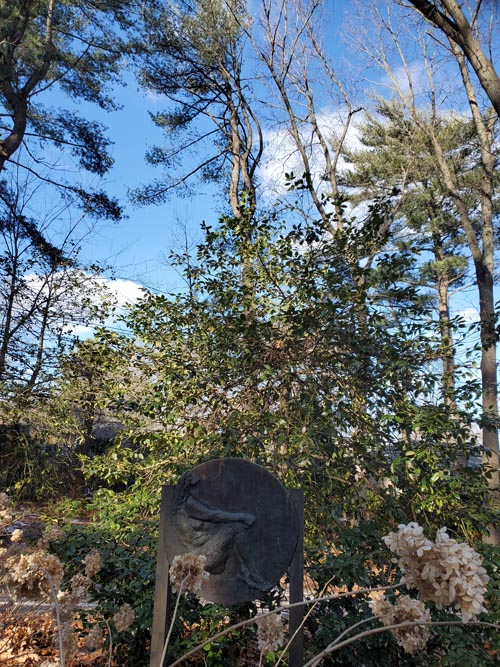 Clark Botanic Garden, Albertson, New York, February 6, 2022