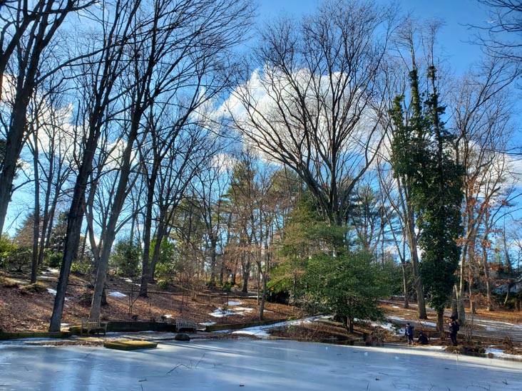 Clark Botanic Garden, Albertson, New York, February 6, 2022