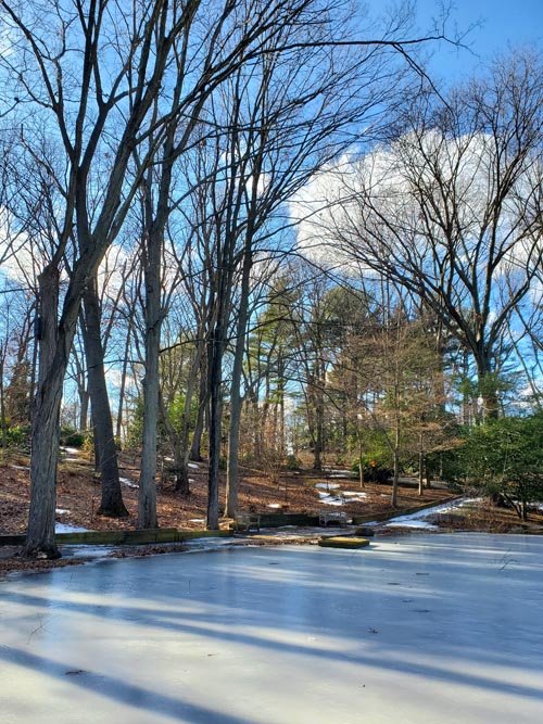 Clark Botanic Garden, Albertson, New York, February 6, 2022
