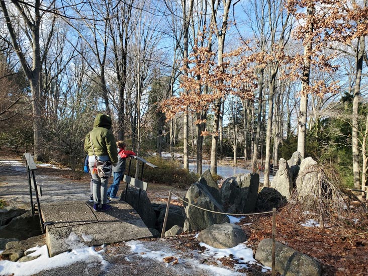 Clark Botanic Garden, Albertson, New York, February 6, 2022