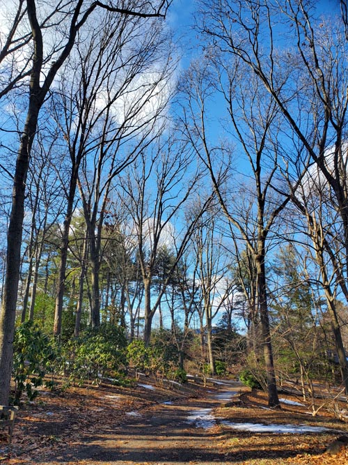 Clark Botanic Garden, Albertson, New York, February 6, 2022