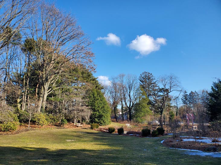 Clark Botanic Garden, Albertson, New York, February 6, 2022