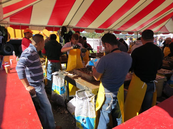 Oyster Booth, Oyster Festival, Oyster Bay, New York, October 13, 2012