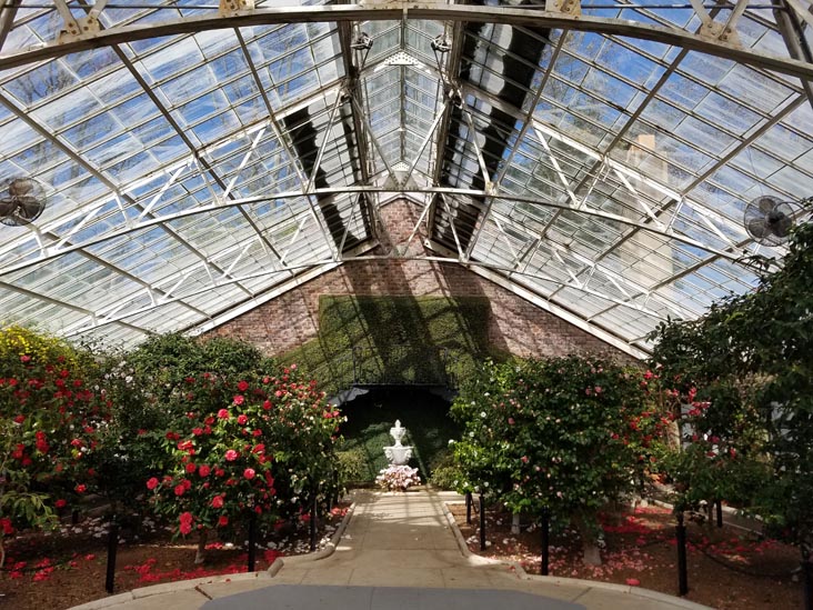 Camellia Greenhouse, Planting Fields Arboretum State Historic Park, Oyster Bay, New York, February 25, 2017