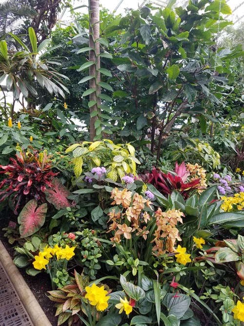 Greenhouse, Planting Fields Arboretum State Historic Park, Oyster Bay, New York, February 25, 2017