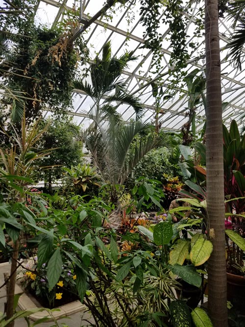 Greenhouse, Planting Fields Arboretum State Historic Park, Oyster Bay, New York, February 25, 2017
