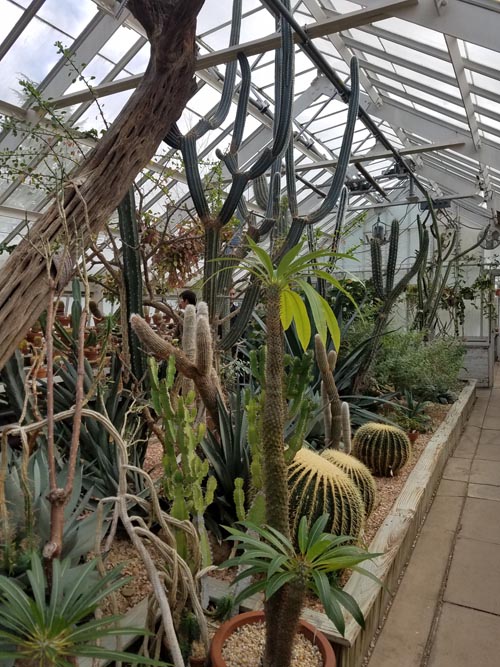 Greenhouse, Planting Fields Arboretum State Historic Park, Oyster Bay, New York, February 25, 2017