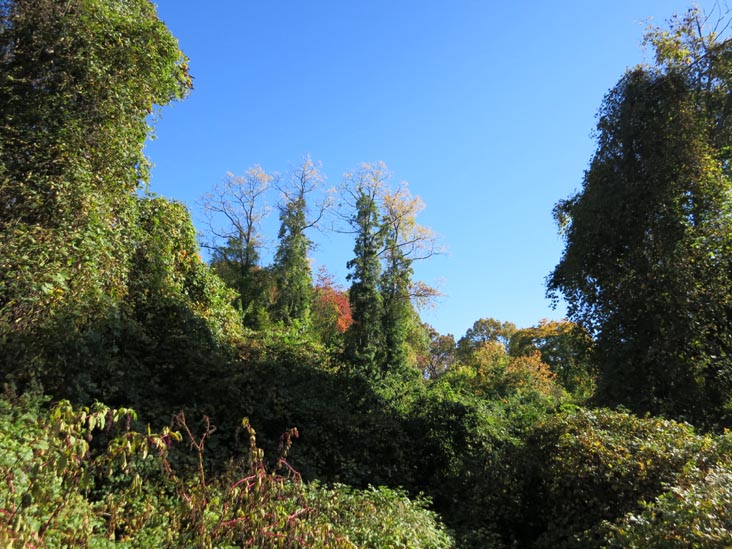 Sands Point Preserve, Sands Point, New York, November 8, 2015