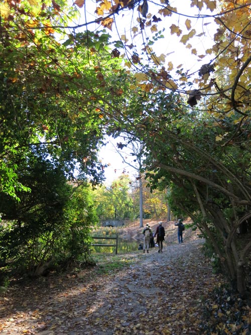 Sands Point Preserve, Sands Point, New York, November 8, 2015
