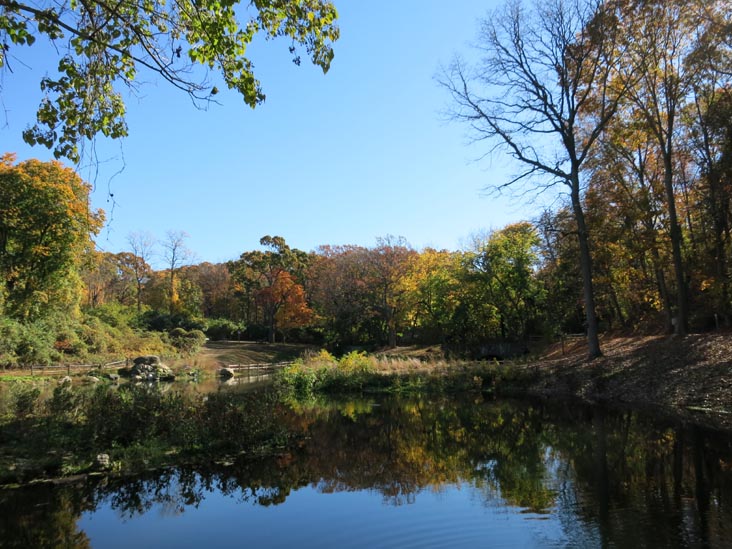 Pond, Sands Point Preserve, Sands Point, New York, November 8, 2015